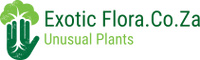 ExoticFlora