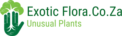 ExoticFlora