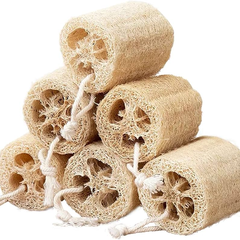 Loofah Seeds