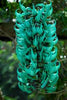 Jade Vine Strongylodon macrobotrys