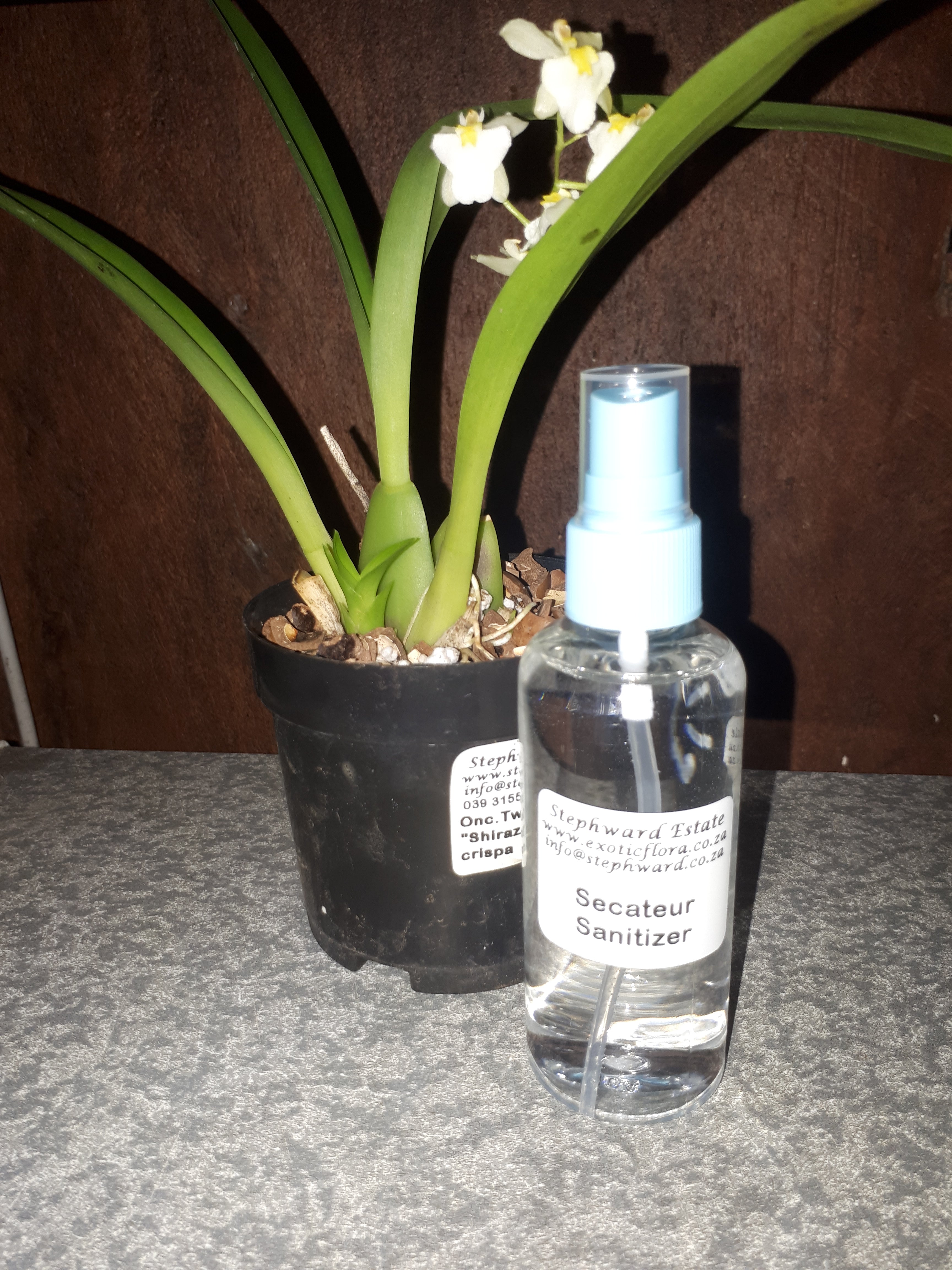 Secateur Sanitizer